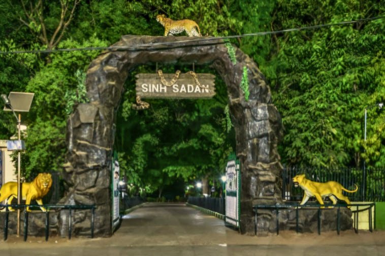 Gir National Park, Gujarat, India